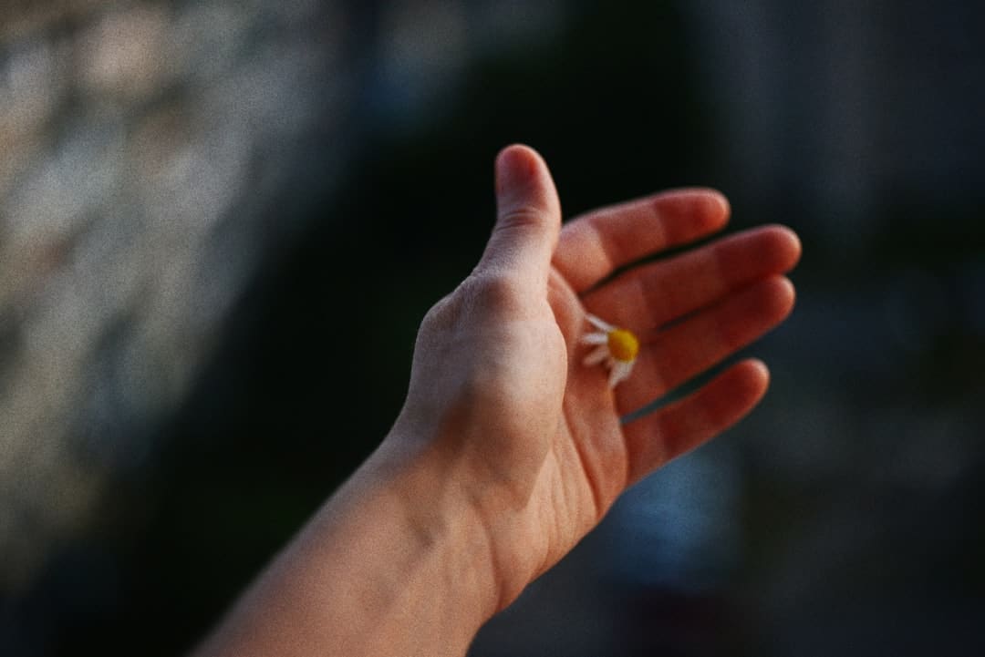 普京与特朗普新一轮会谈何时进行？俄方回应：可能是近期